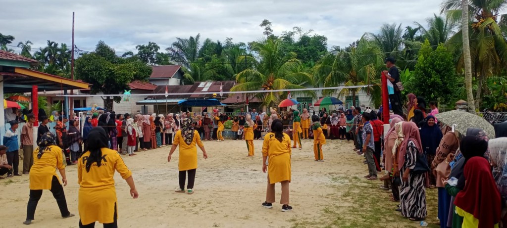Kegiatan Liga Desa 